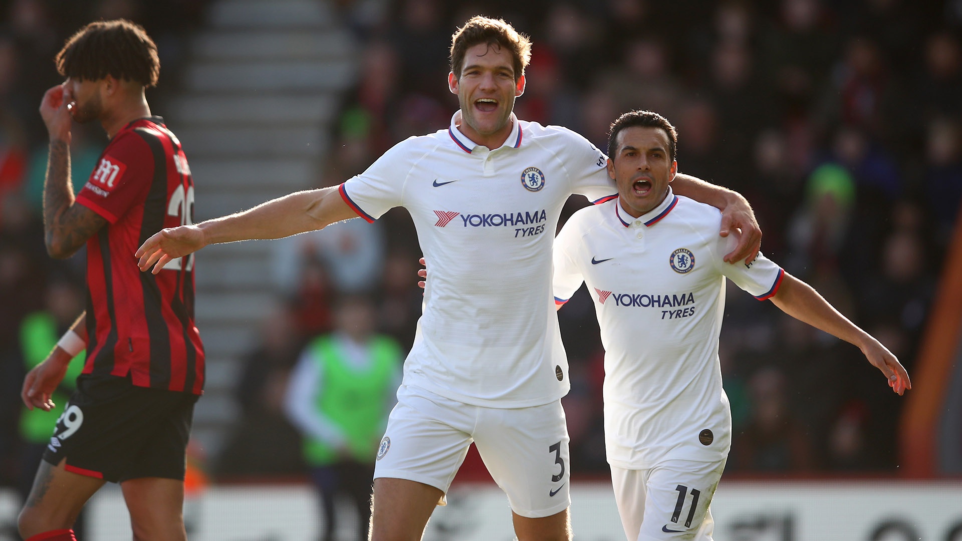 文化与整体 文化与整体