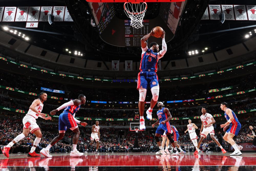 纸板床的环 纸板床的环